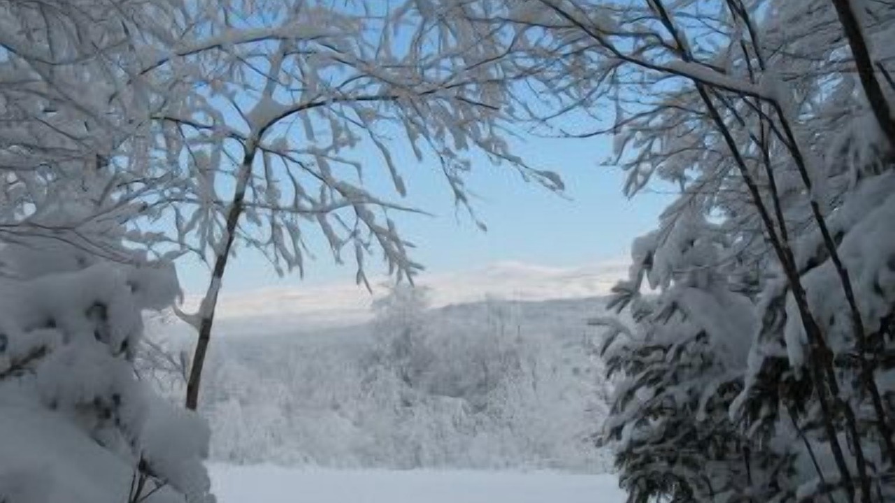 Photo of Outdoor in Pittsburg