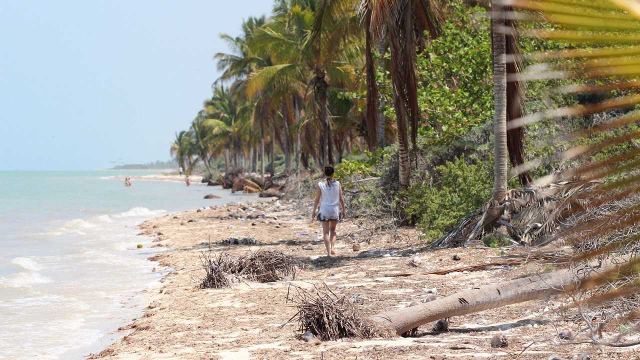 Photo of Others in Telchac Puerto