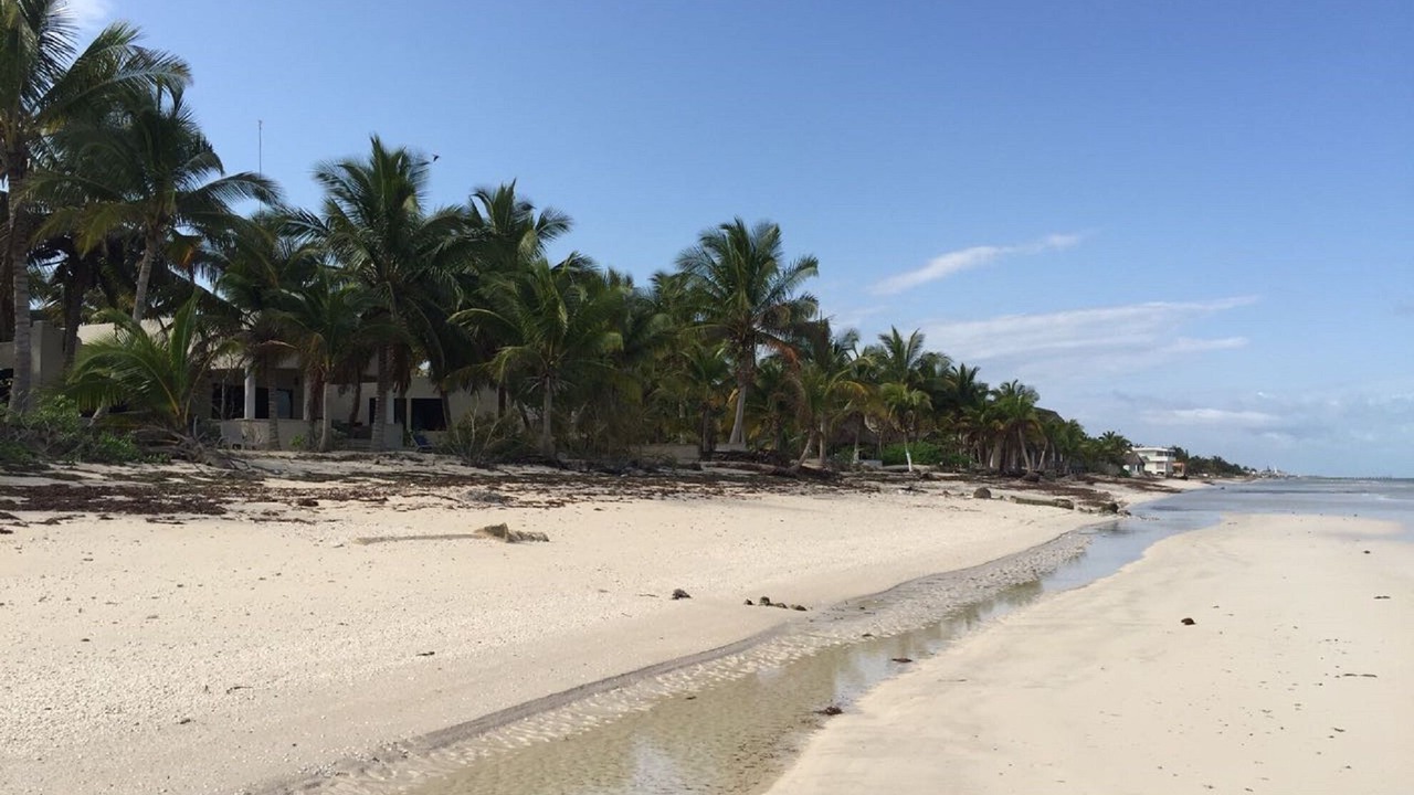 Photo of Others in Telchac Puerto