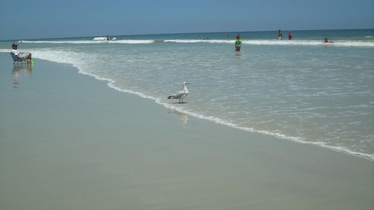 Photo of Others in New Smyrna Beach