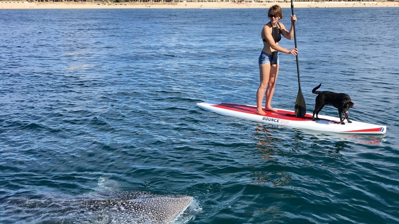 Photo of Others in Puerto Penasco