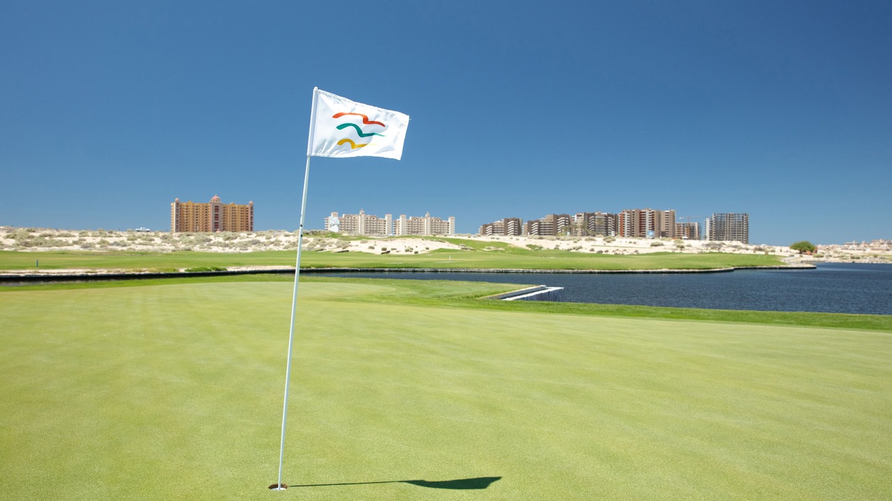 Photo of Others in Puerto Penasco