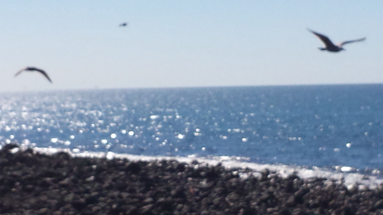 Photo of Others in Sandy Beach