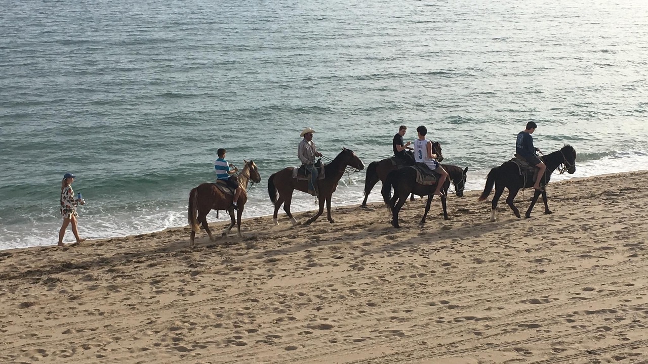 Photo of Others in Las Conchas