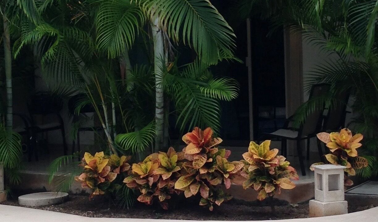Photo of Outdoor in Zama