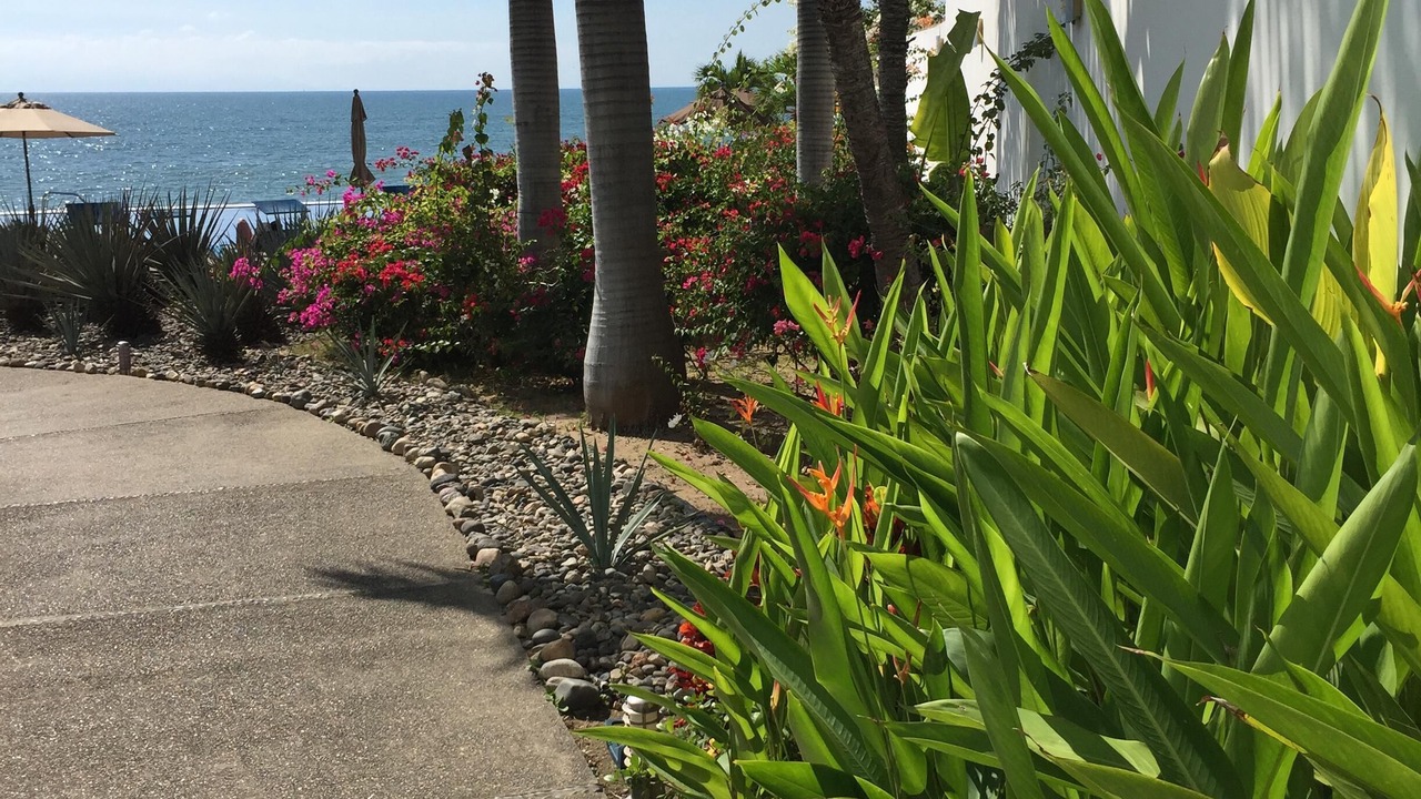 Photo of Outdoor in Bucerias
