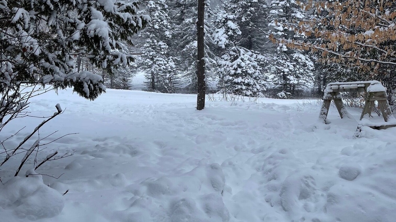 Photo of Others in Boyne Falls