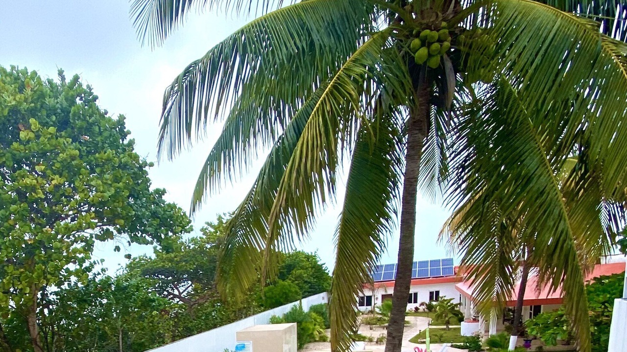 Photo of Outdoor in Chelem