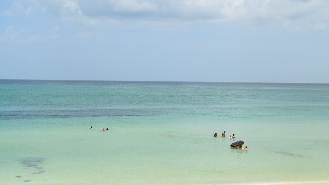 Photo of Others in Chelem