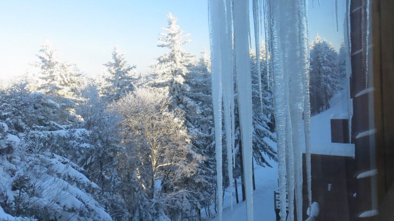 Photo of Others in Snowshoe