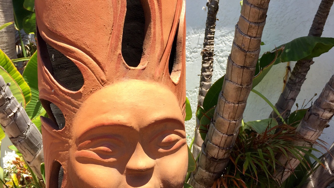 Photo of Outdoor in Las Gaviotas
