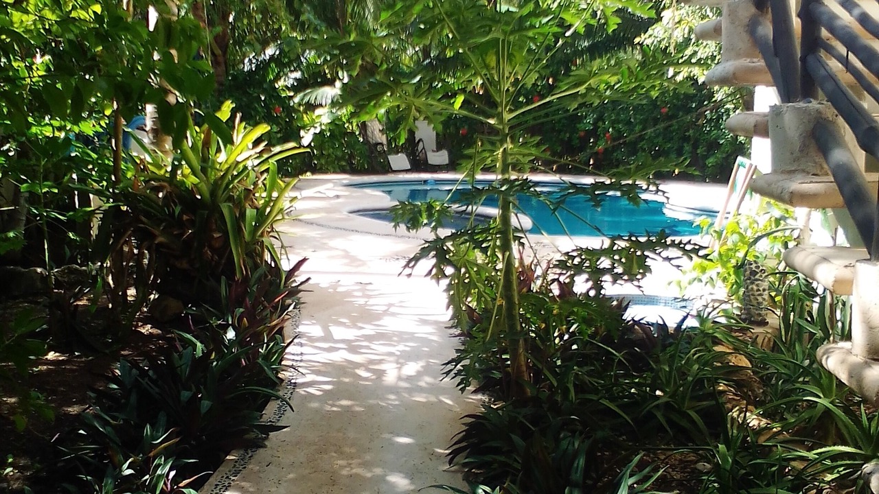 Photo of Outdoor in Tulum City Center