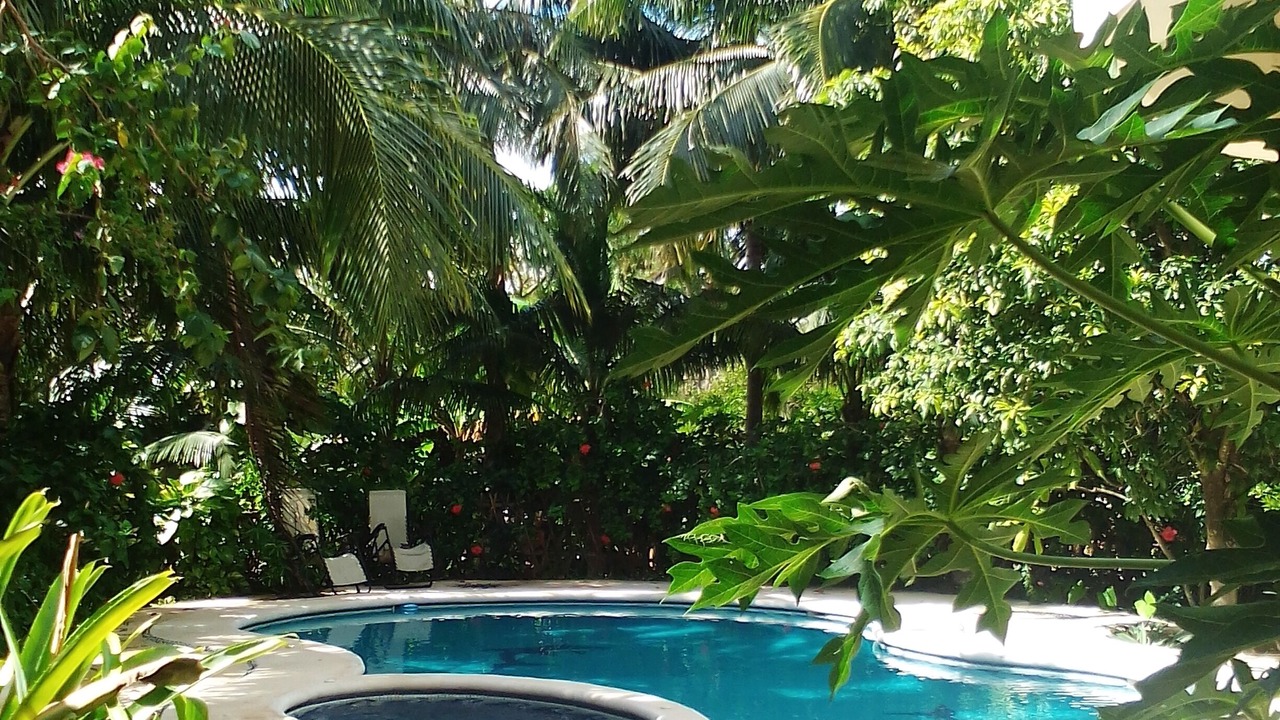 Photo of Outdoor in Tulum City Center