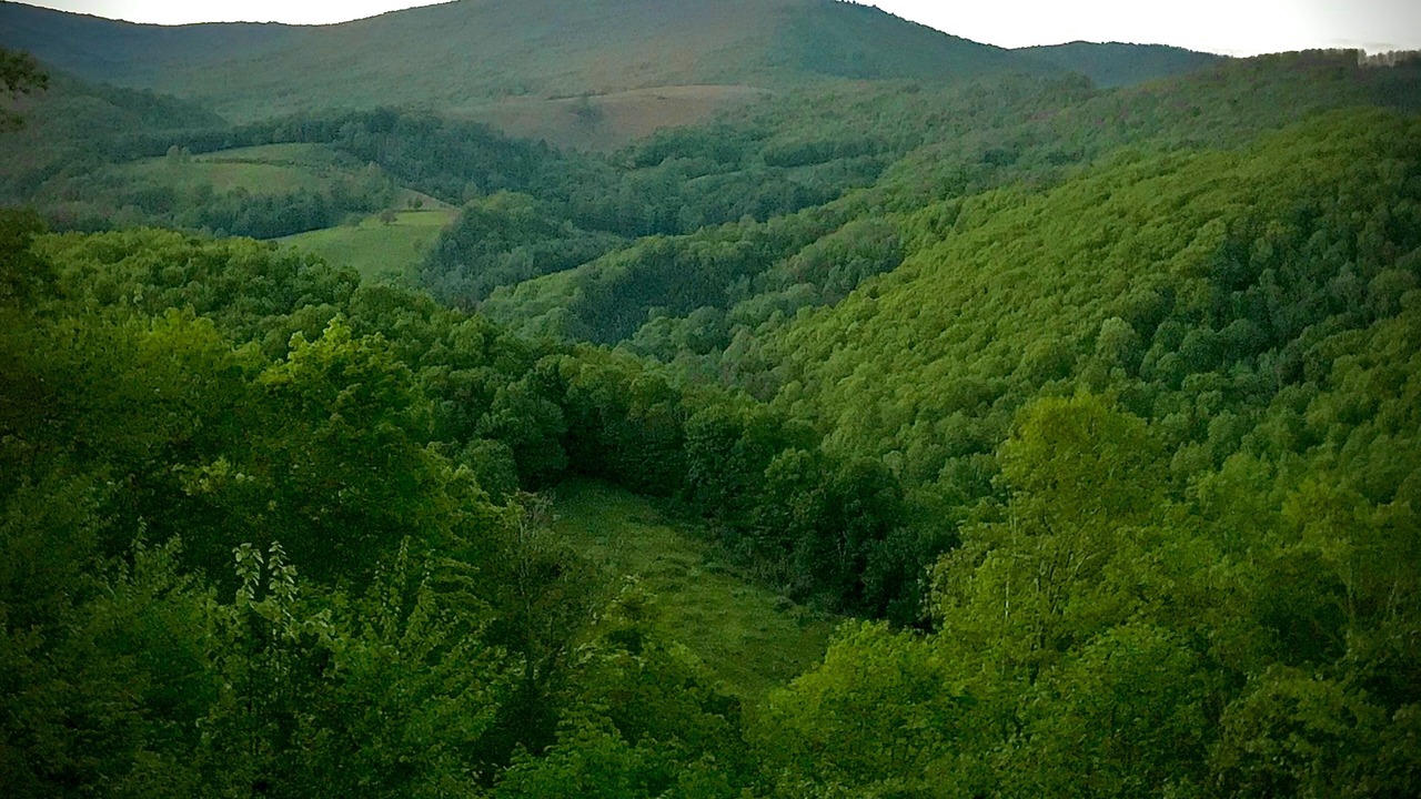 Photo of Others in Wilson Creek
