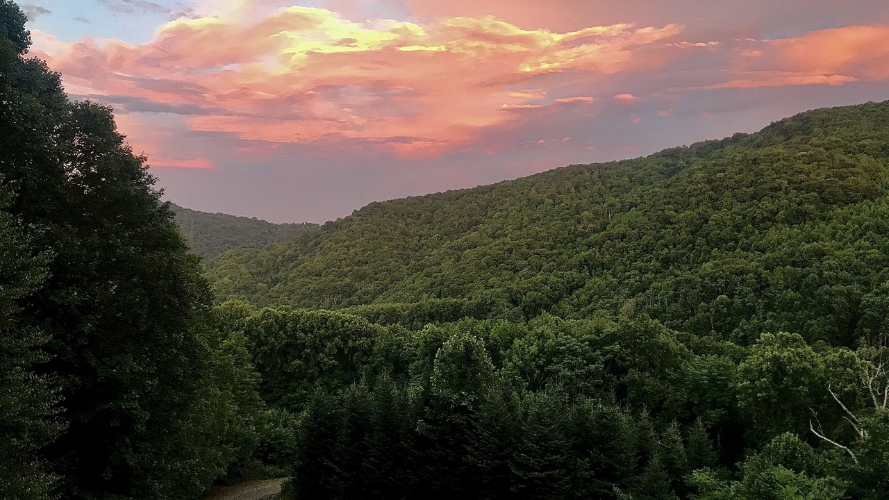 Photo of Outdoor in Wilson Creek