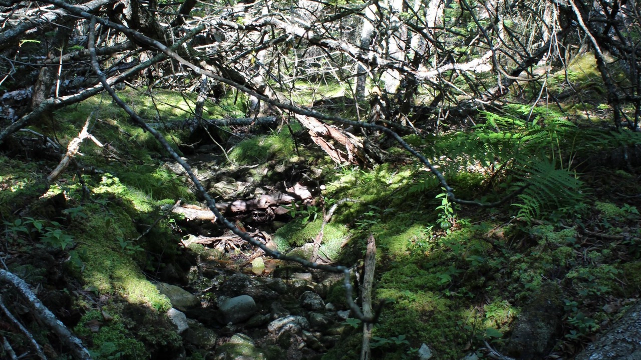 Photo of Outdoor in Jonesport