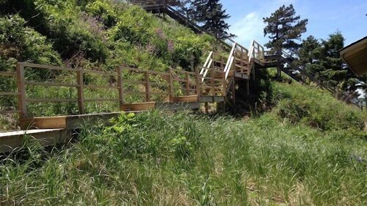 Photo of Others in Porter Beach