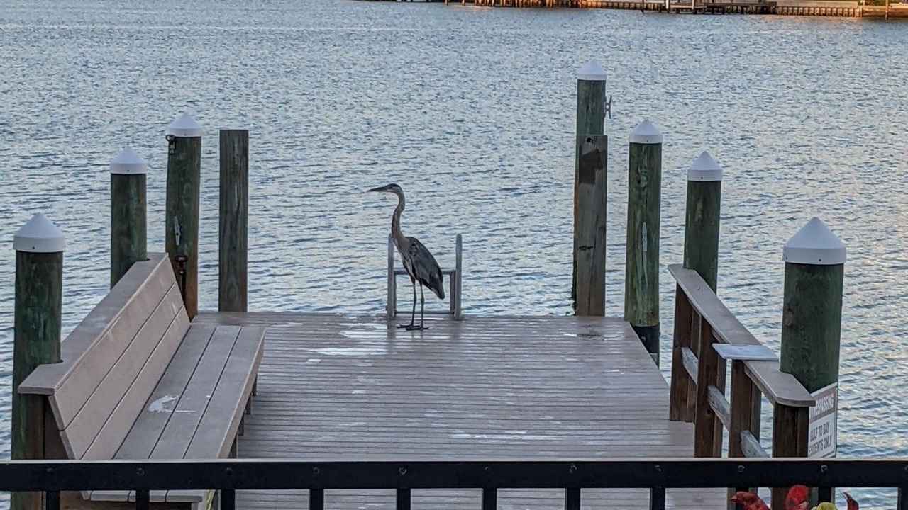 Photo of Outdoor in Treasure Island
