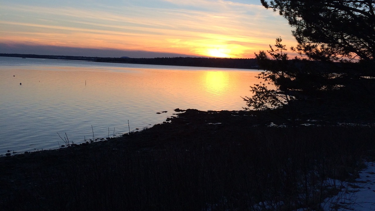 Photo of Others in Lamoine Beach