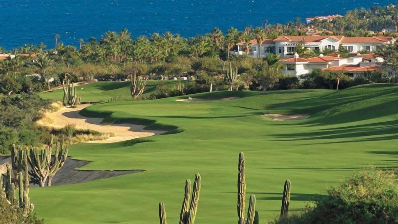 Photo of Others in Los Cabos
