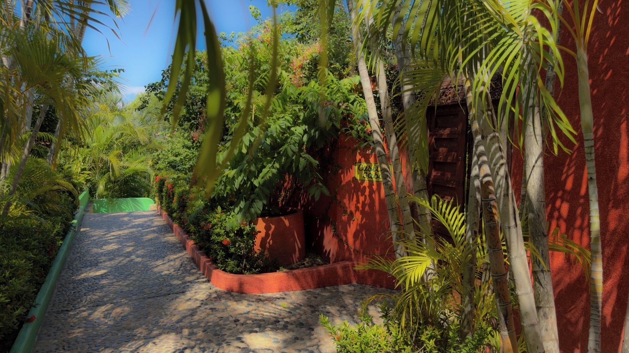 Photo of Outdoor in Costa Careyes