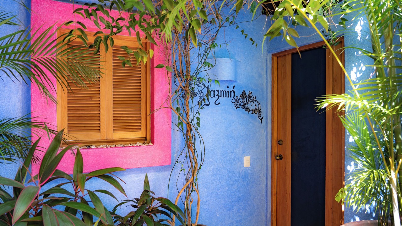 Photo of Outdoor in Costa Careyes