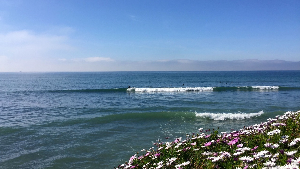 Photo of Others in Las Gaviotas
