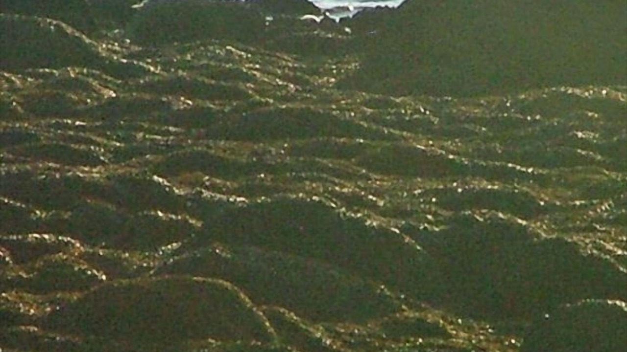 Photo of Others in Castine