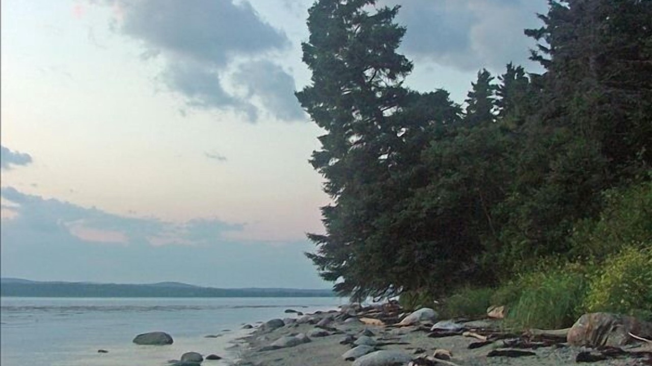 Photo of Others in Castine
