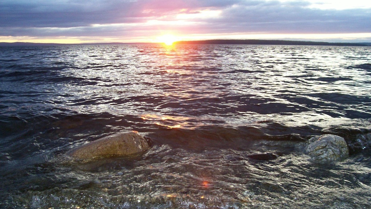 Photo of Others in Castine