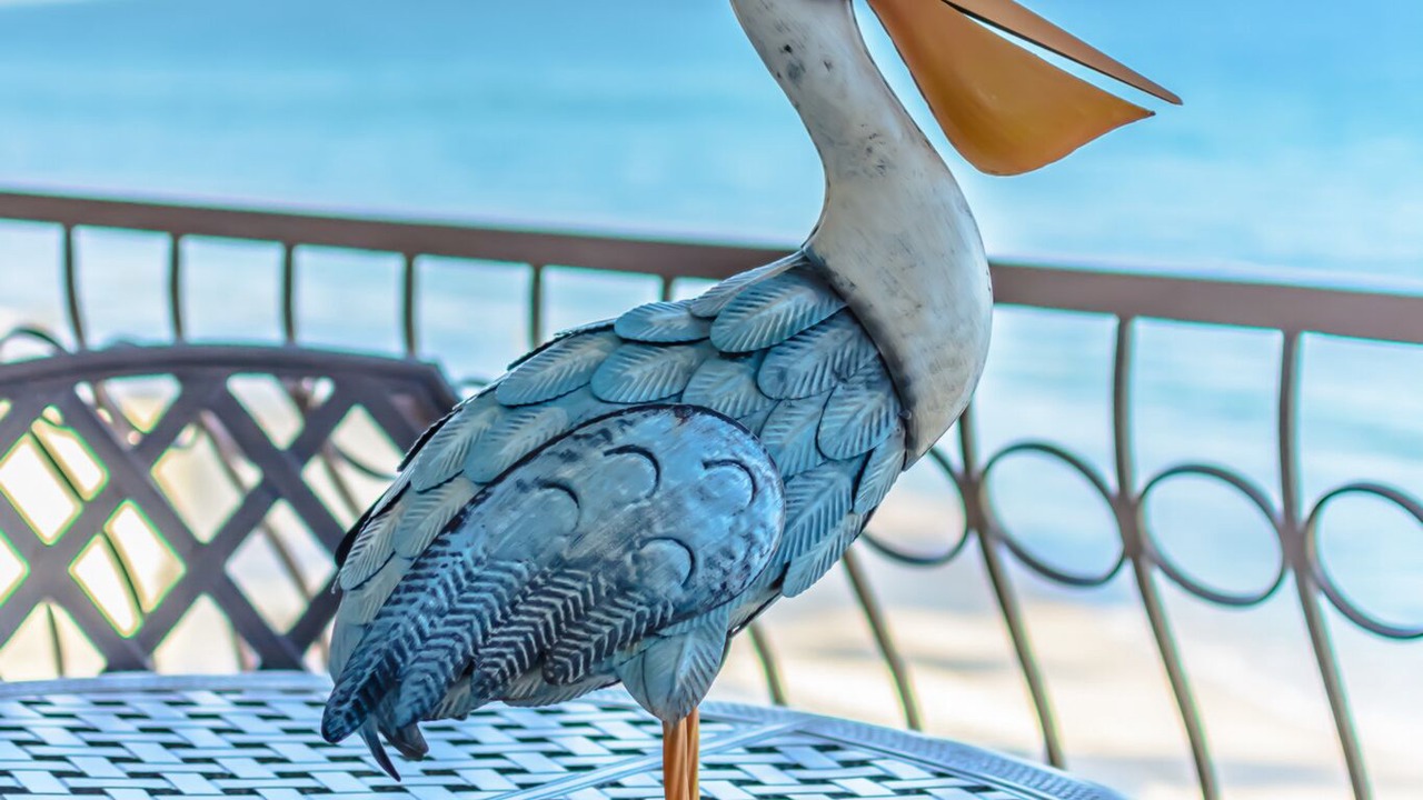 Photo of Others in San Jose del Cabo