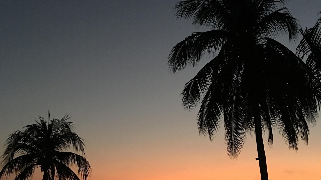 Photo of Others in Troncones