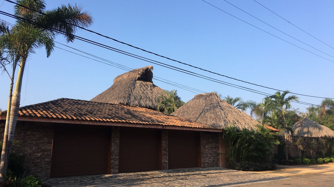 Photo of Others in Troncones