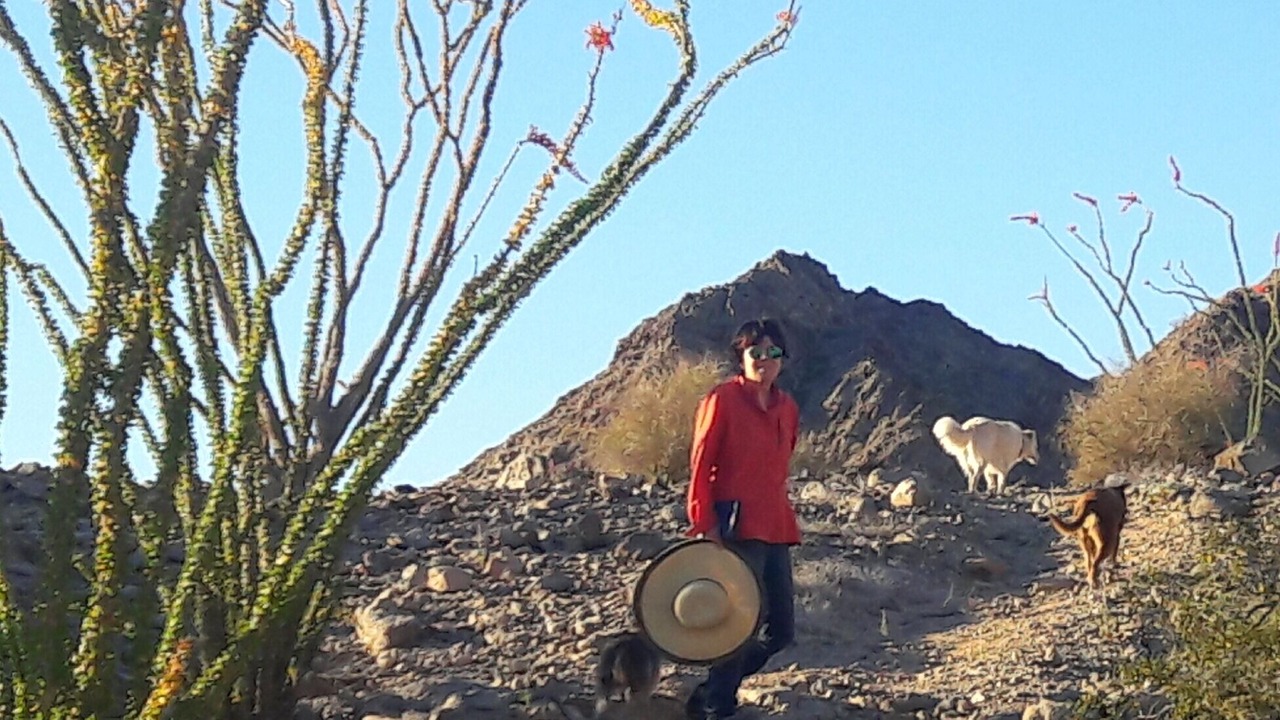 Photo of Outdoor in Segunda Seccion