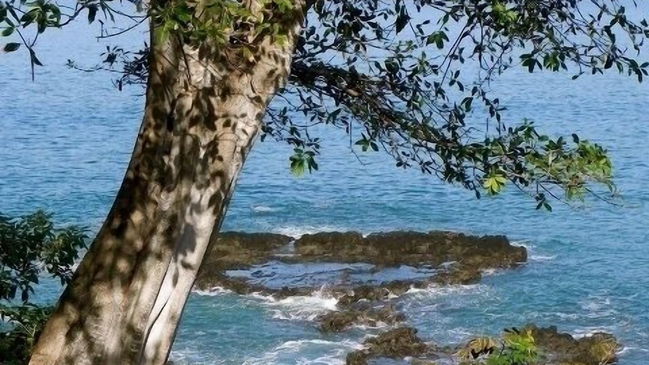 Photo of Others in Lo de Marcos