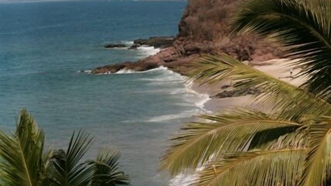 Photo of Others in Lo de Marcos