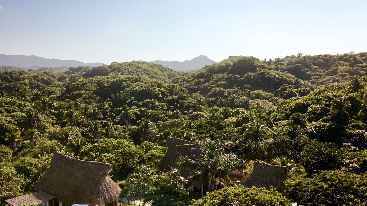 Photo of Others in Sayulita