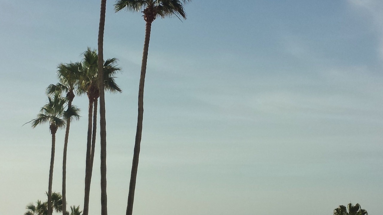 Photo of Others in Rosarito