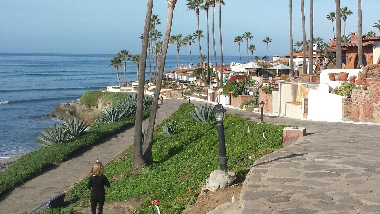 Photo of Others in Rosarito