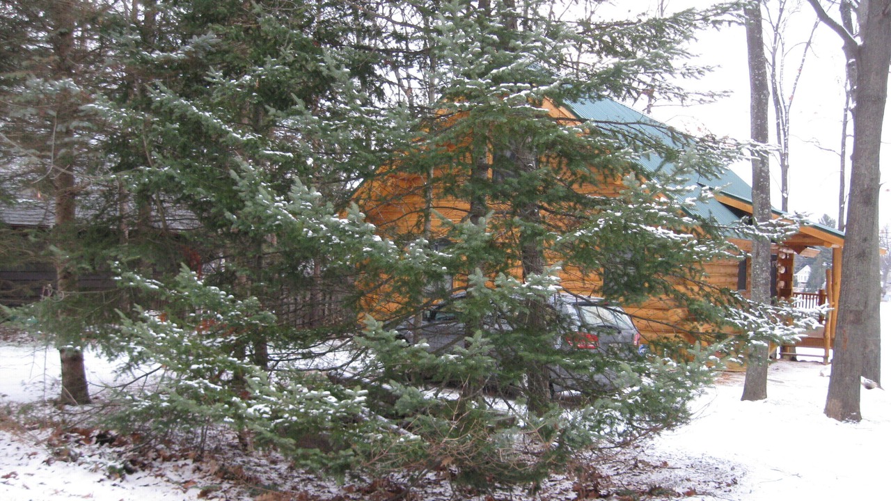 Photo of Outdoor in Lake