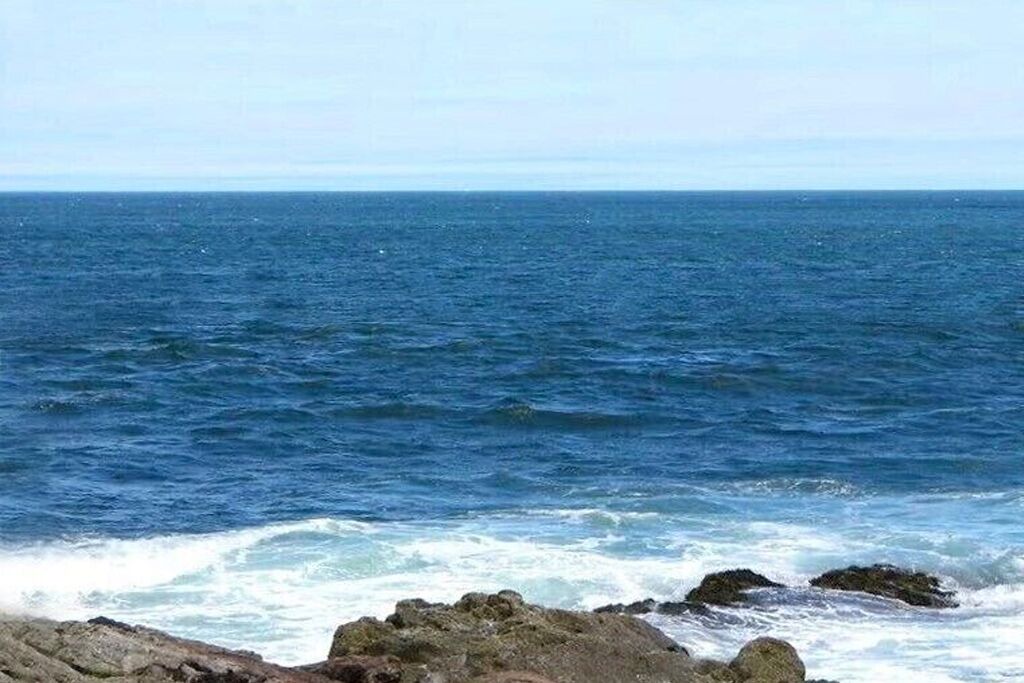 Photo of Others in Bar Harbor