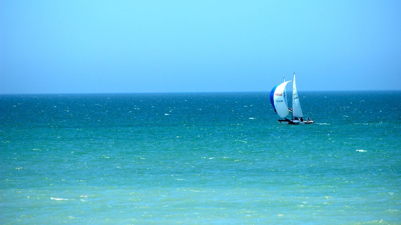 Photo of Others in Chicxulub Puerto