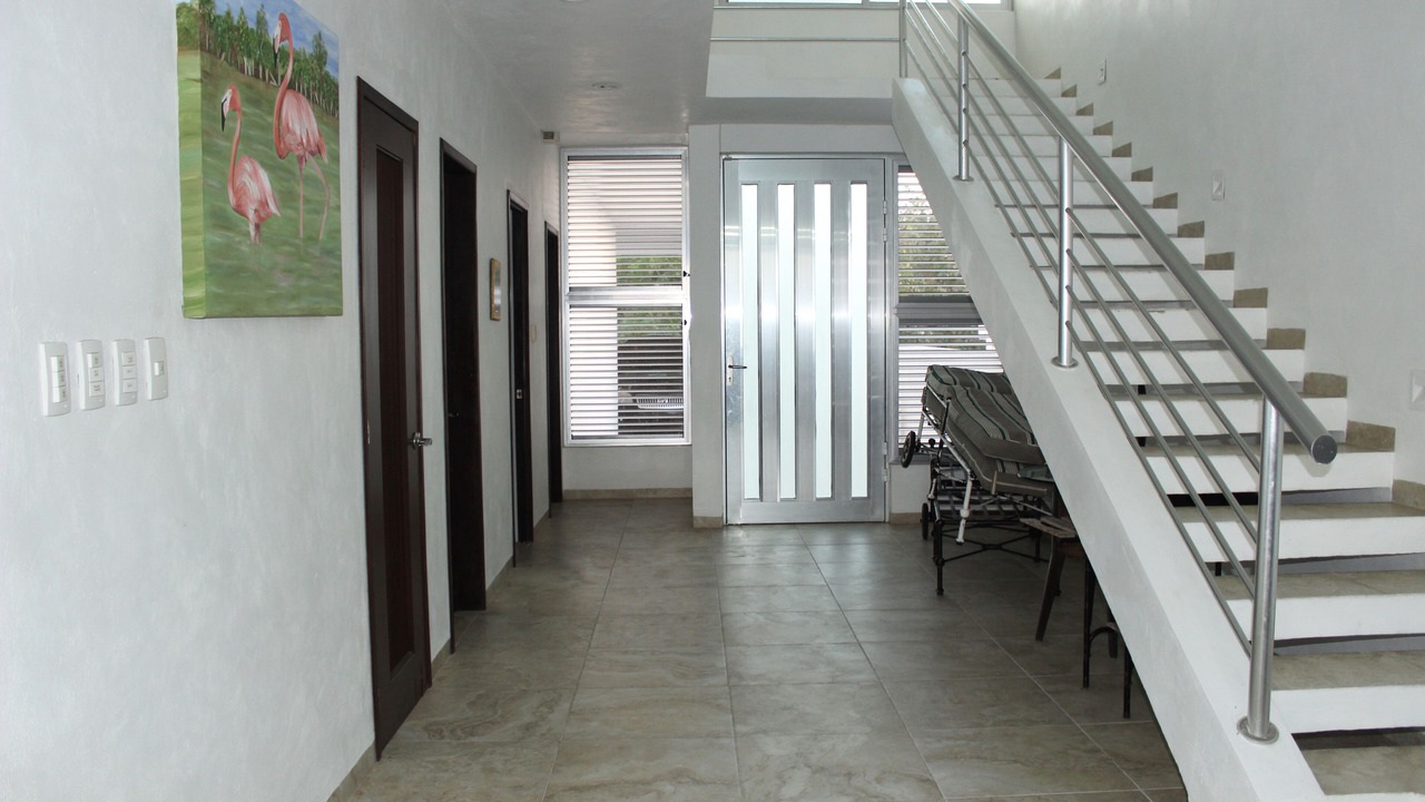 Photo of Others in Chicxulub Puerto
