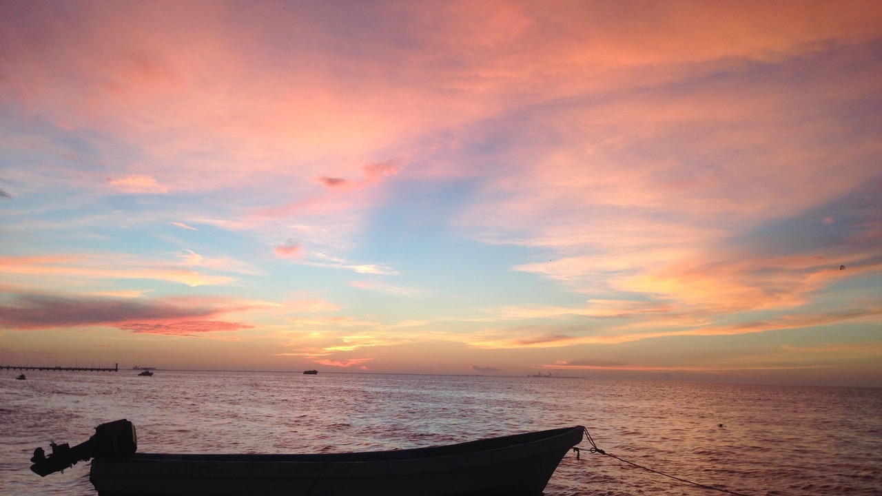 Photo of Others in Chicxulub Puerto