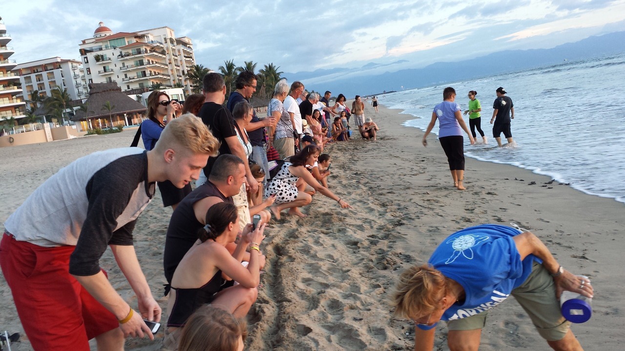 Photo of Others in La Puntilla