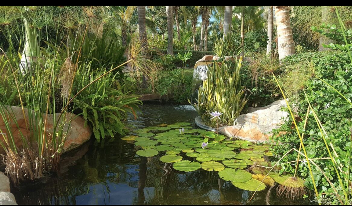 Photo of Outdoor in Cerritos