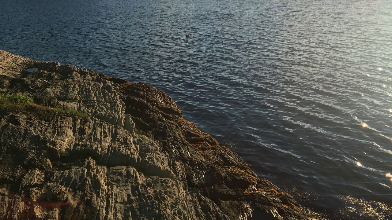 Photo of Others in Pleasant Point