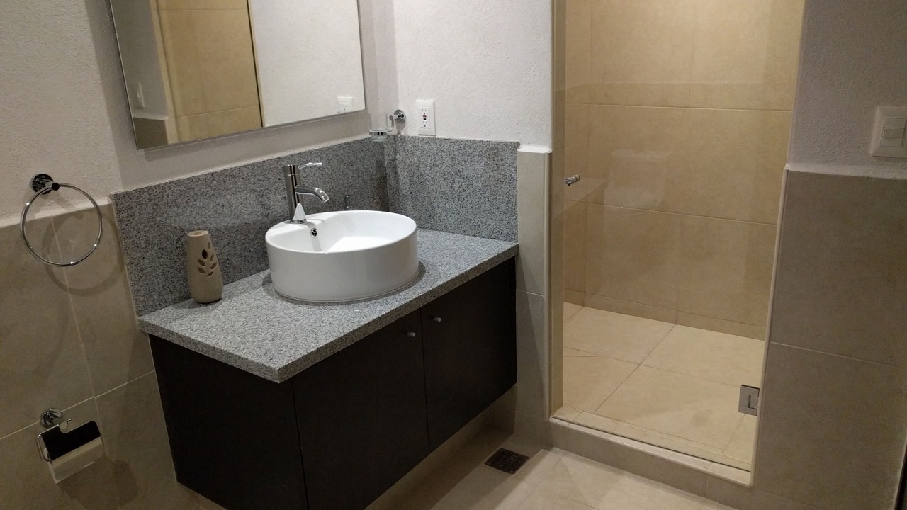 Photo of Bathroom in South Hotel Zone