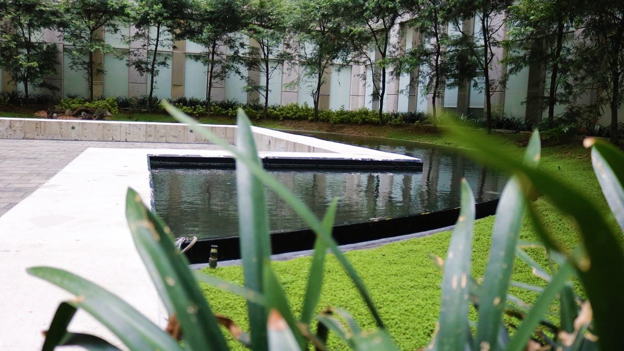 Photo of Outdoor in Colonia Centro