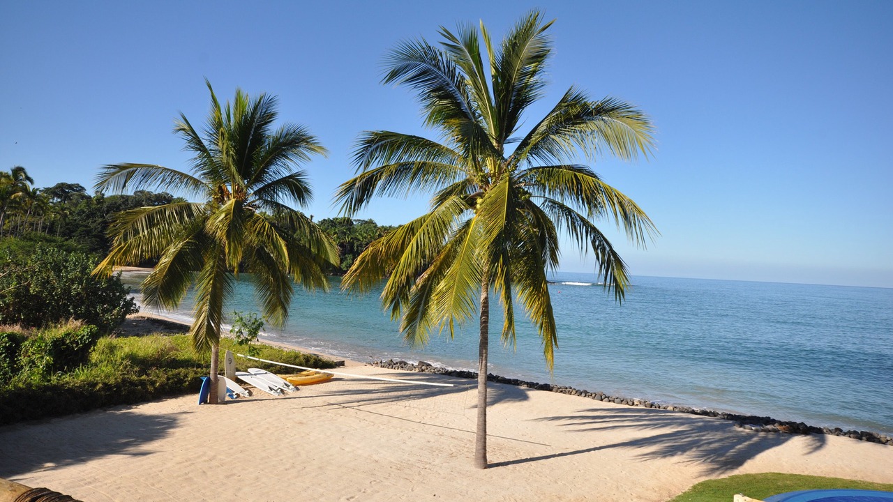 Photo of Others in Chacala